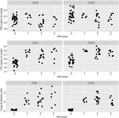 Composition of Rhizosphere Microbial Communities Associated With Healthy and Verticillium Wilt Diseased Cotton Plants